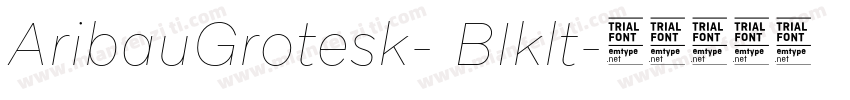 AribauGrotesk- BIklt字体转换